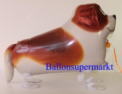 Bernhardiner-Airwalker-Luftballon